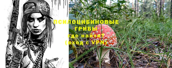 ALPHA PVP Алексин