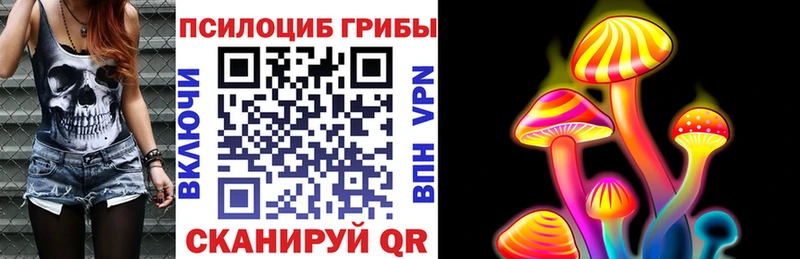 дарнет шоп  Таштагол  Псилоцибиновые грибы MAGIC MUSHROOMS 