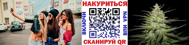 Конопля план  купить   Таштагол 